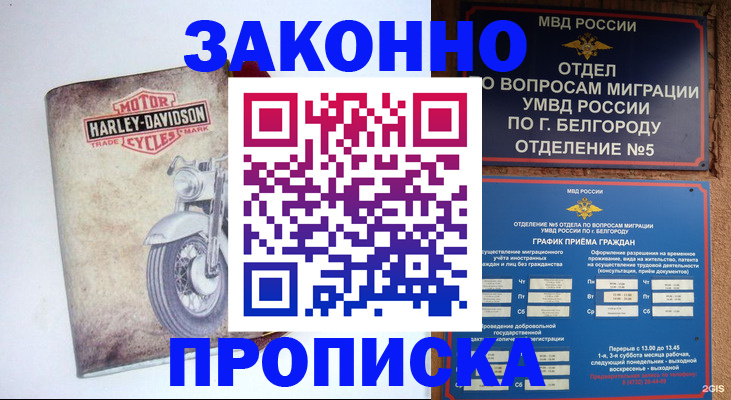 прописка для школы в Луге